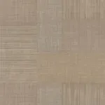 Mestizo Mordor&eacute;