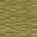 Stylosa Olive